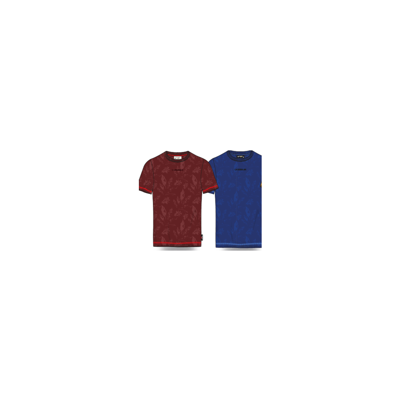 t-f-foliage kid